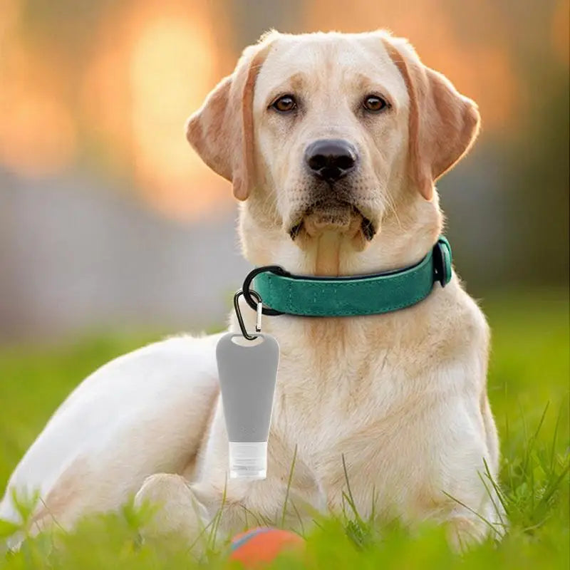 Travel Shampoo Bottles Silicone Dog Food Container 90ml Puppy Necessities Pet Accessories for Body Wash Lotions Cream