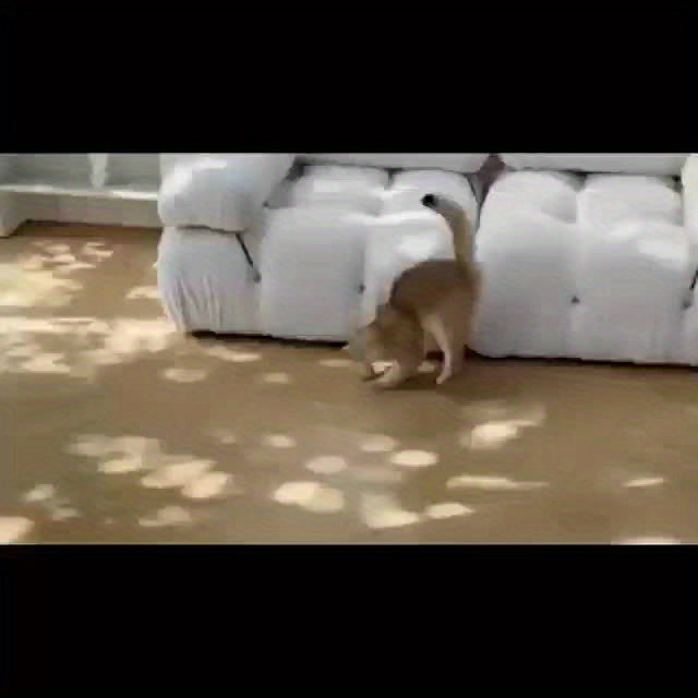 1PC Electric Rolling Ball Cat Toy, Interactive And Fun Pet Smart Rotating Ball Chasing Toy For Training And Gaming